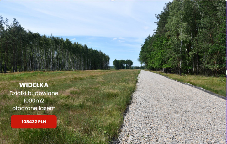 Działka Sprzedaż Widełka 1