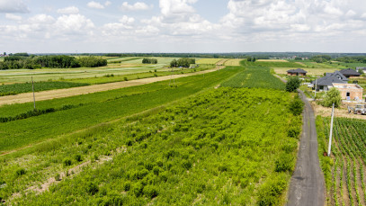 Działka Sprzedaż Lisia Góra