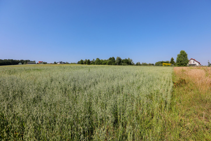 Działka Sprzedaż Siemiechów 6
