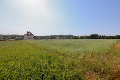 Działka Sprzedaż Siemiechów