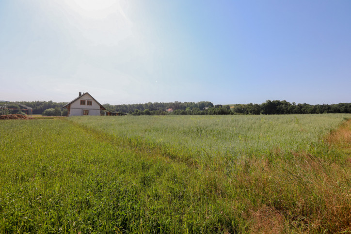 Działka Sprzedaż Siemiechów 8