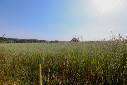 Działka Sprzedaż Siemiechów