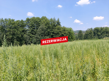 Działka Sprzedaż Nowodworze