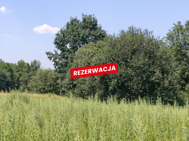 Działka Sprzedaż Nowodworze 5