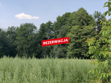 Działka Sprzedaż Nowodworze
