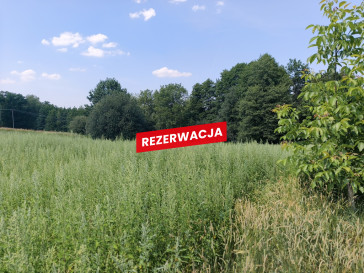 Działka Sprzedaż Nowodworze