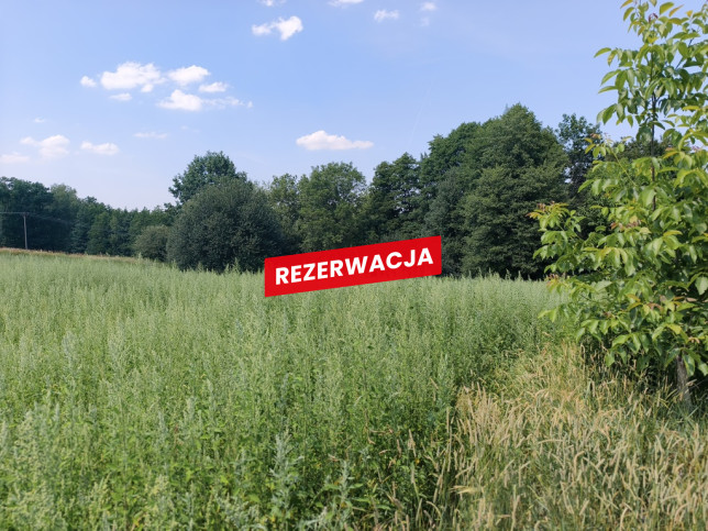 Działka Sprzedaż Nowodworze 10