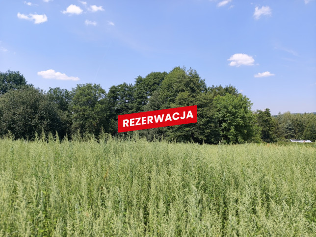 Działka Sprzedaż Nowodworze 8