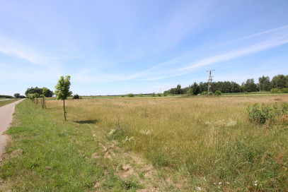 Działka Sprzedaż Pałecznica-Kolonia