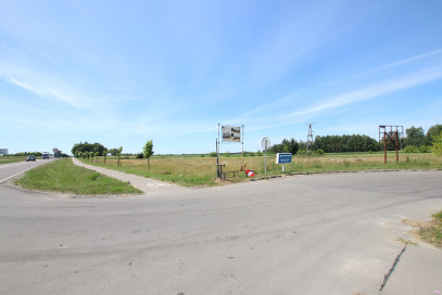 Działka Sprzedaż Pałecznica-Kolonia