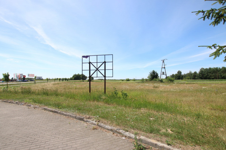 Działka Sprzedaż Pałecznica-Kolonia 8