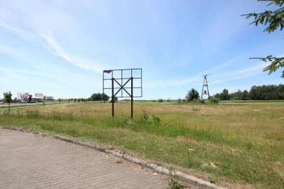 Działka Sprzedaż Pałecznica-Kolonia