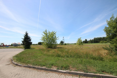 Działka Sprzedaż Pałecznica-Kolonia