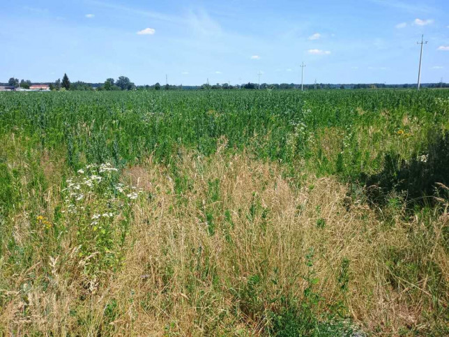 Działka Sprzedaż Makowisko 3