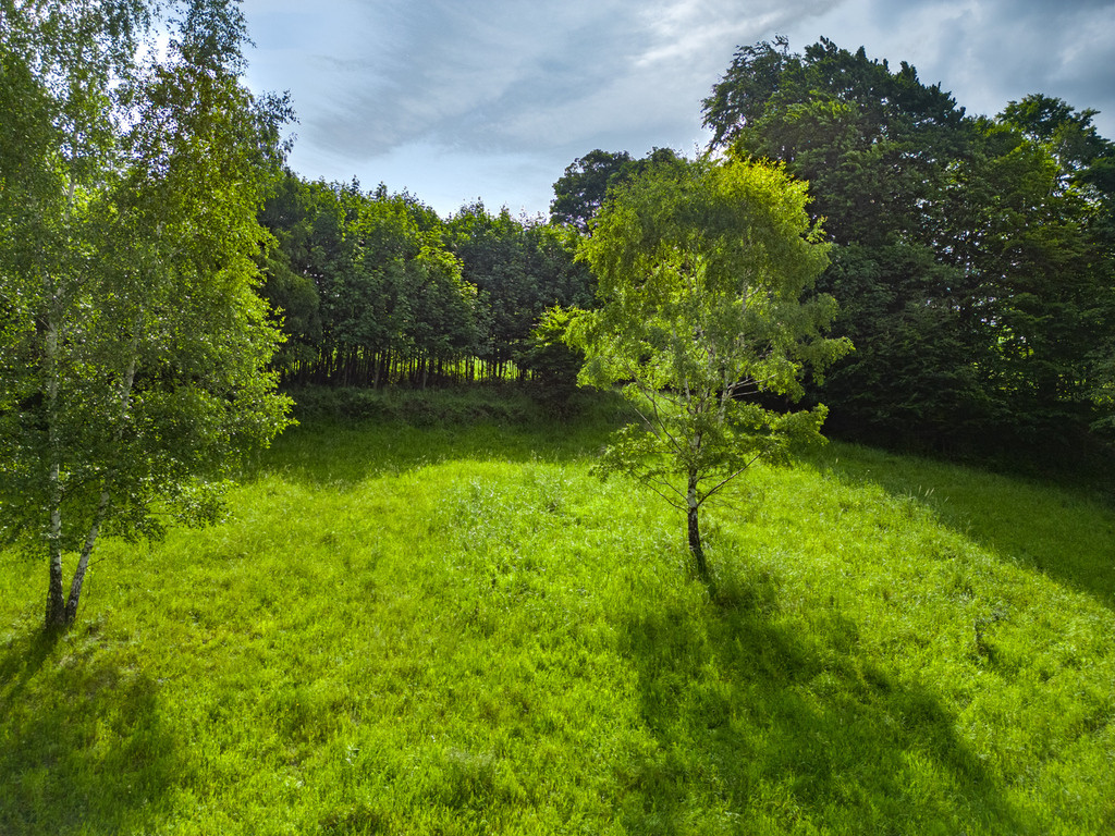 Działka Sprzedaż Stryszawa