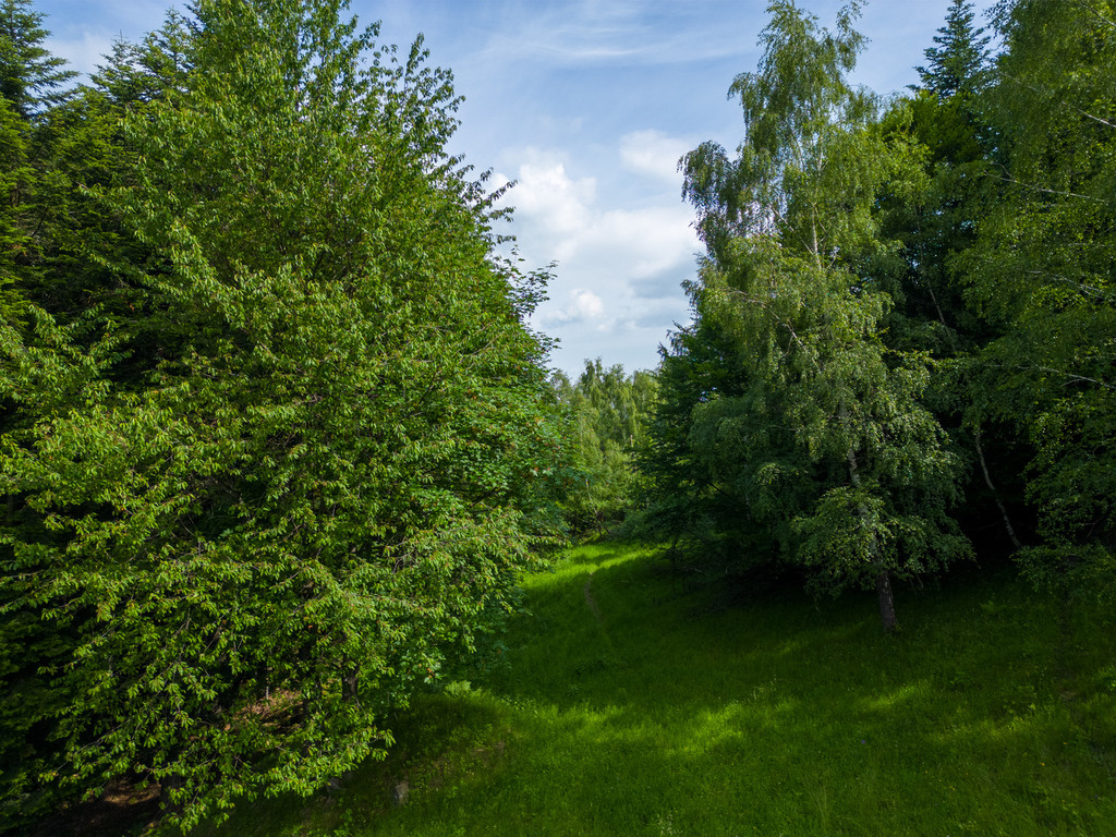Działka Sprzedaż Stryszawa