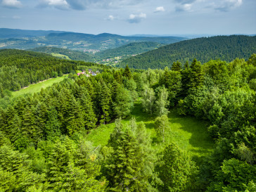 Działka Sprzedaż Stryszawa