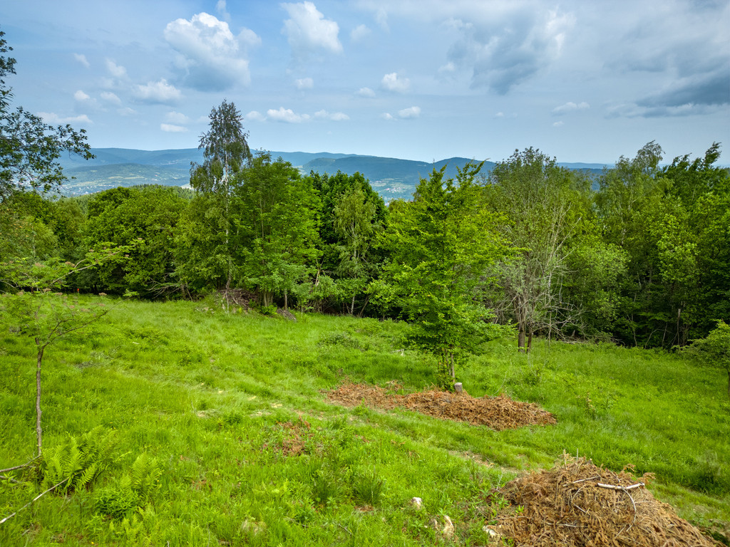 Działka Sprzedaż Stryszawa