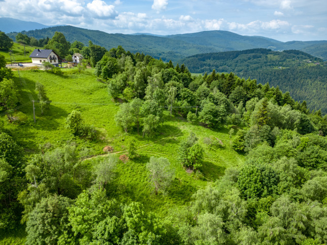 Działka Sprzedaż Stryszawa 16