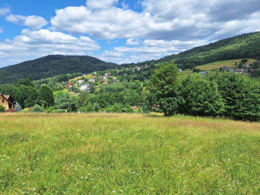 Działka Sprzedaż Stryszawa