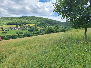 Działka Sprzedaż Stryszawa