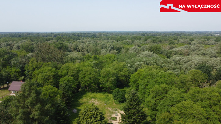 Dom Sprzedaż Kaliszany-Kolonia 10