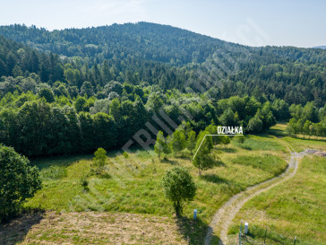 Działka Sprzedaż Stryszawa