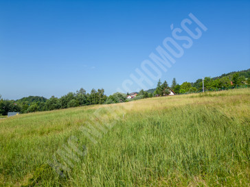 Działka Sprzedaż Stryszawa