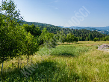 Działka Sprzedaż Stryszawa