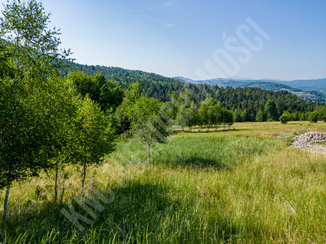 Działka Sprzedaż Stryszawa 14