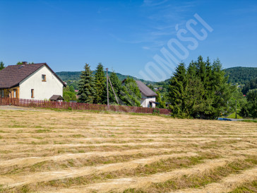 Działka Sprzedaż Stryszawa