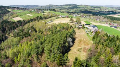 Dom Sprzedaż Jastrzębia