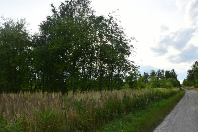 Działka Sprzedaż Rudna Mała