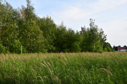Działka Sprzedaż Rudna Mała