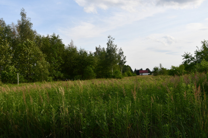 Działka Sprzedaż Rudna Mała 10