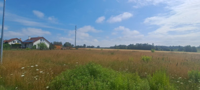 Działka Sprzedaż Wólka Cycowska