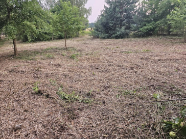 Działka Sprzedaż Dąbrowa