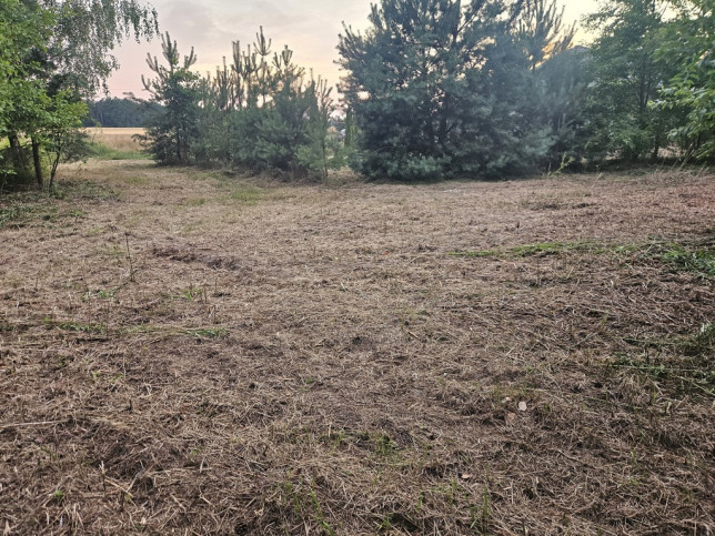 Działka Sprzedaż Dąbrowa 3