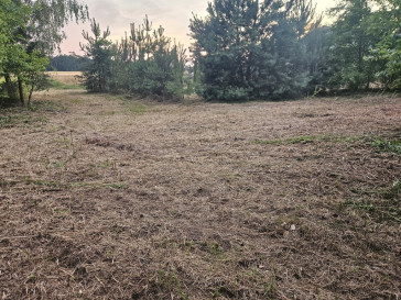 Działka Sprzedaż Dąbrowa