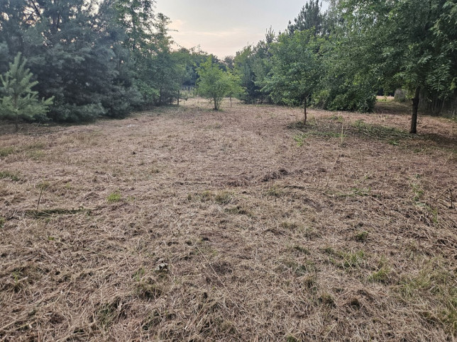 Działka Sprzedaż Dąbrowa 5