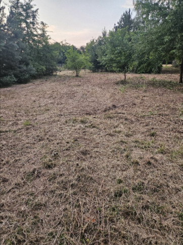 Działka Sprzedaż Dąbrowa 6