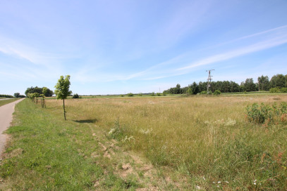 Działka Sprzedaż Pałecznica-Kolonia