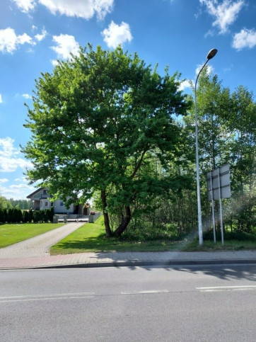Działka Sprzedaż Mokrzyska 11
