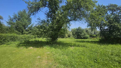 Działka Sprzedaż Tuchów Kolejowa