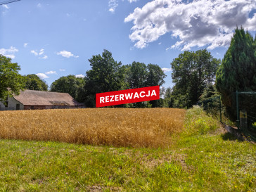 Działka Sprzedaż Zaczarnie