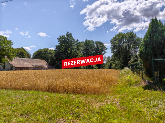 Działka Sprzedaż Zaczarnie 5