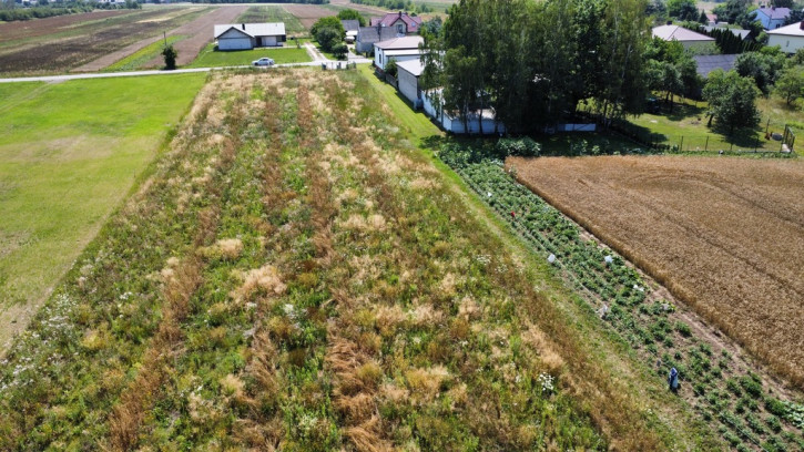 Działka Sprzedaż Gołąb 3