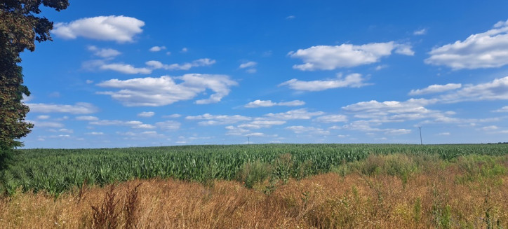 Działka Sprzedaż Miłków-Kolonia 1