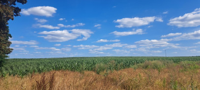 Działka Sprzedaż Miłków-Kolonia