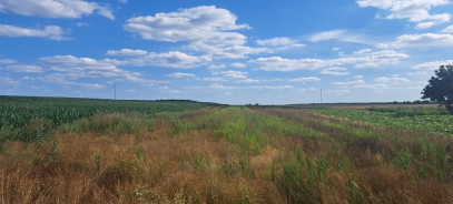 Działka Sprzedaż Miłków-Kolonia
